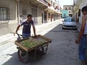 ORAN AOUT 2007 marchand de chumbos